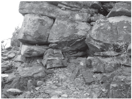 One of many “little mountains” on Kelley’s Island. Photo courtesy of Jack Wade.