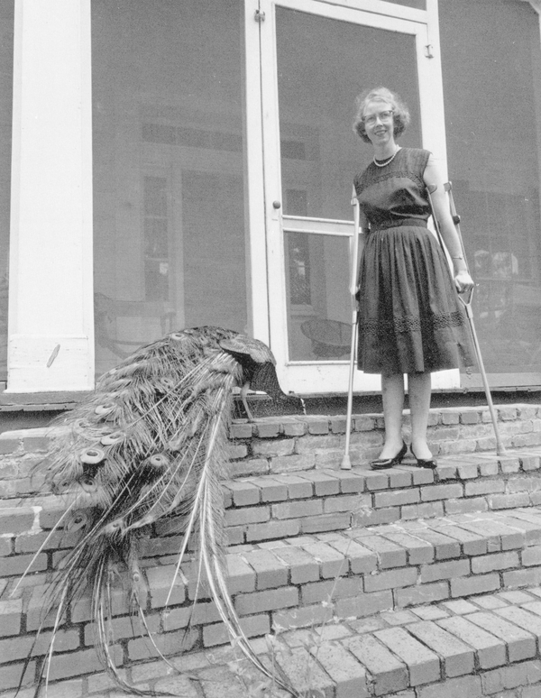 Author Flannery O’Connor. Reprinted from <a data-cke-saved-href='/Products/9780738587936' href='/Products/9780738587936'>Milledgeville</a> by Amy E. Clark-Davis, courtesy of Bo Edmonds (pg. 82, Arcadia Publishing, 2011). Author Flannery O’Connor.