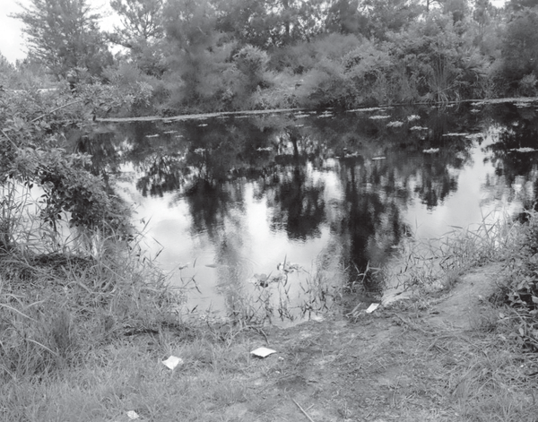 Jeff ’s body was found floating near the bank of Canal M near Royal Palm Beach Boulevard. Reprinted from <a data-cke-saved-href='/Products/9781467142564' href='/Products/9781467142564'>Solving the West Palm Beach Murder of Jeffrey Heagerty</a> by Graham Brunk, courtesy of the Palm Beach County Sheriff (pg. 18, The History Press, 2019). Jeff ’s body was found floating near the bank of Canal M near Royal Palm Beach Boulevard.