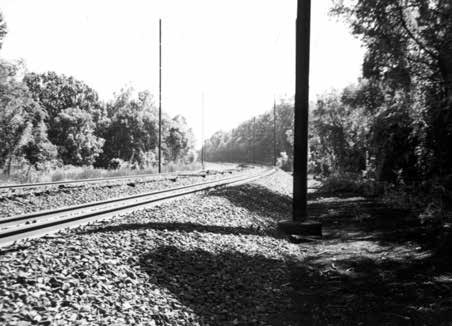 Duffy’s Cut looking east. Reprinted from Massacre at Duffy’s Cut: Tragedy & Conspiracy on the Pennsylvania Railroad by William E. Watson and J. Francis Watson, courtesy of the Watson collection (pg. 43, The History Press, 2018).