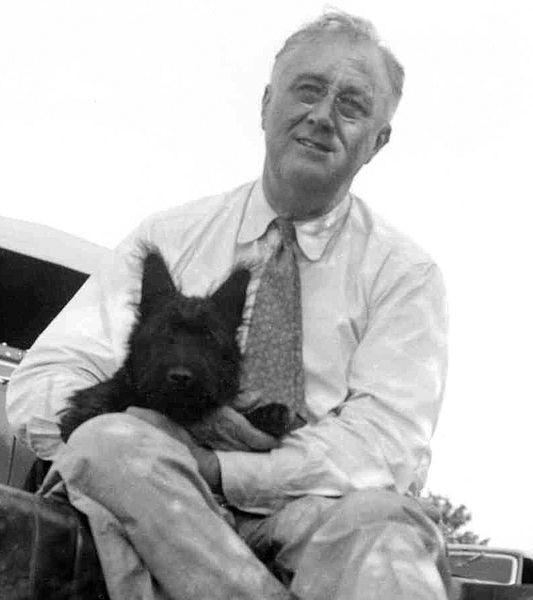 President Franklin D. Roosevelt with his terrier, Fala. Public Domain image via Wikimedia Commons.
