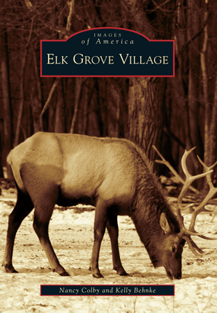 current weather elk grove village il