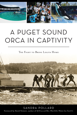 A Puget Sound Orca in Captivity