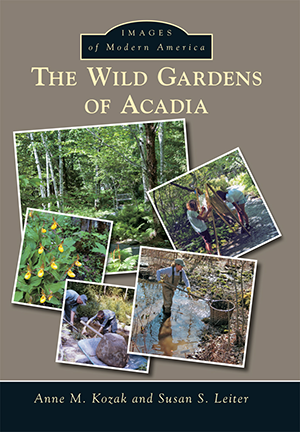 The Wild Gardens of Acadia