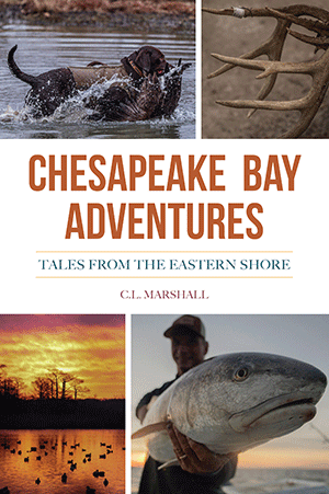 Chesapeake Bay Adventures: Tales from the Eastern Shore